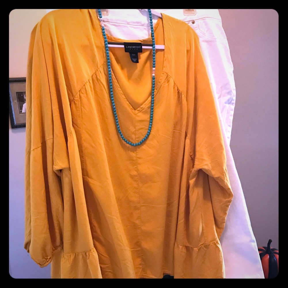 Cute Lane Bryant top